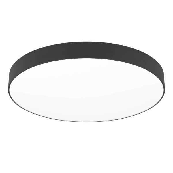 Connect.Z Plafondlamp Gallizzi-Z Zwart ∅69 cm
